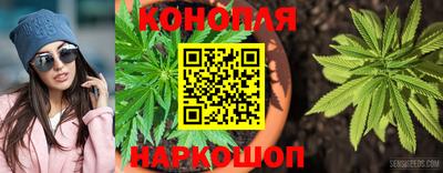 мдпв Ирбит