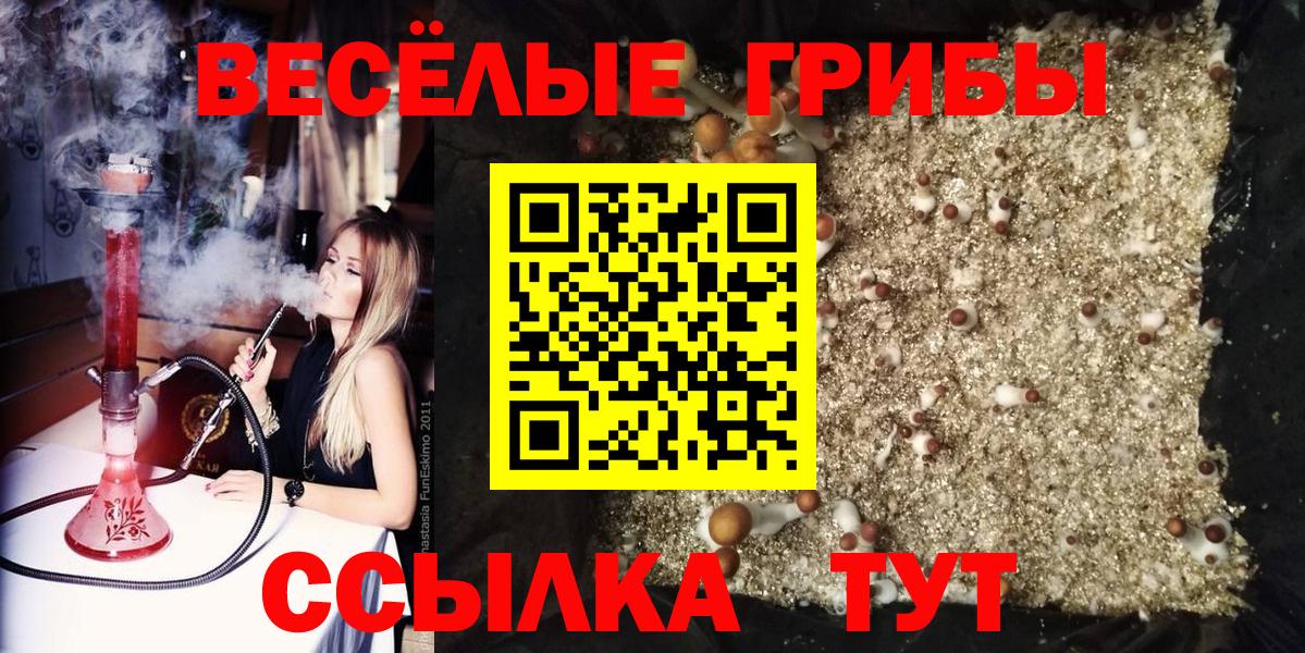Псилоцибиновые грибы Cubensis  продажа наркотиков  Лангепас  Псилоцибиновые грибы ЛСД  Вход с VPN 